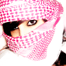لا توجد أية مواضيع جديدة