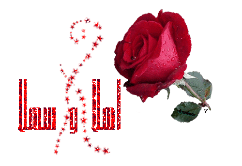 نقره لعرض الصورة في صفحة مستقلة