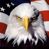   TALON