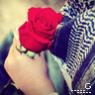   miss rose
