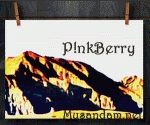   P!nkBerry